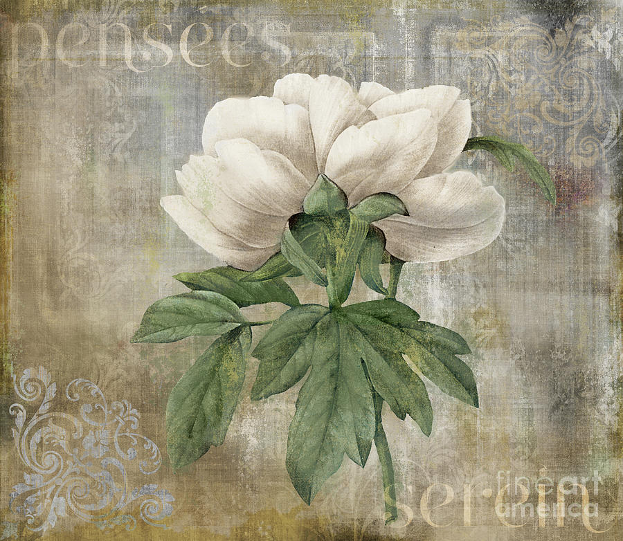 Douces Pensees White Peony #1 Painting by Mindy Sommers