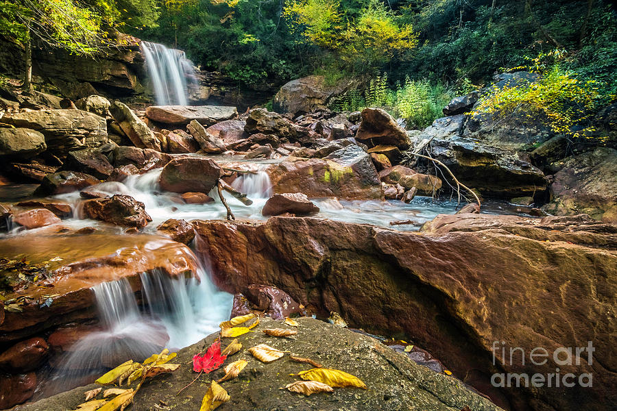 Douglas Falls in Autumn III Photograph by Karen Jorstad