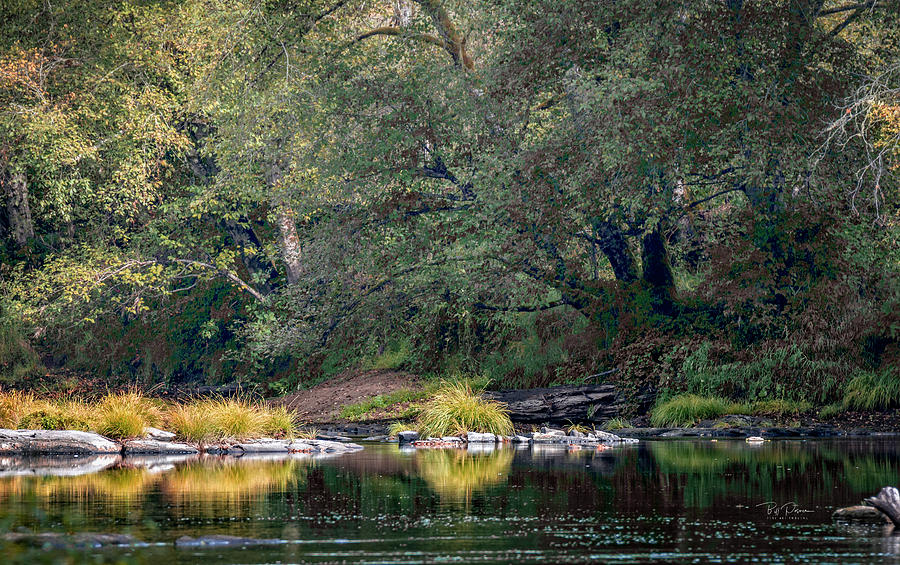 Down by the River #1 Photograph by Bill Posner