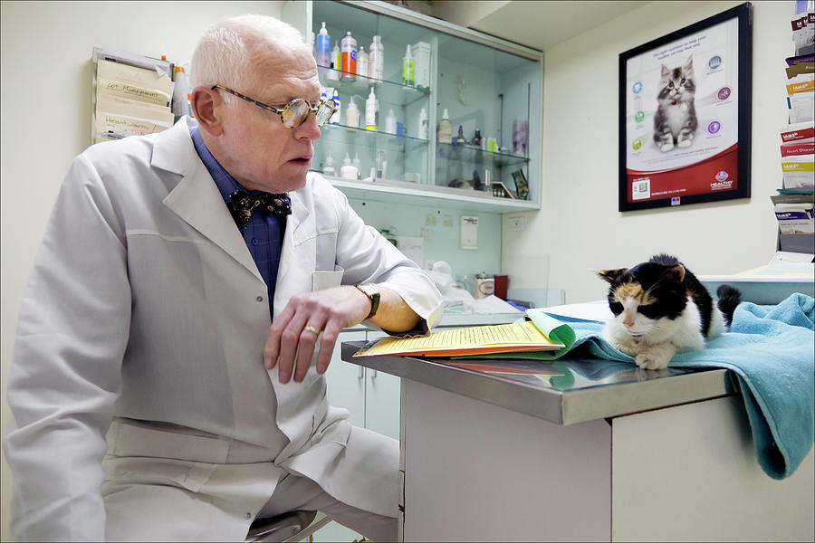 Dr. Johnson and Cat #1 Photograph by Robert Ullmann