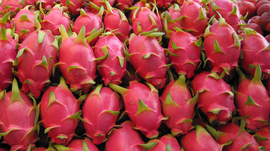 Dragon Fruit Photograph by Colleen Koranek - Pixels