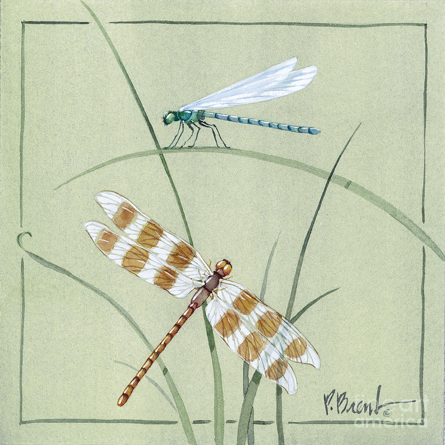 Insects Painting - Dragonfly Damselfly #1 by Paul Brent
