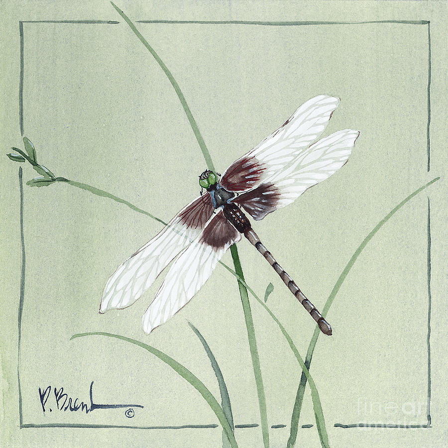 Insects Painting - Dragonfly #1 by Paul Brent