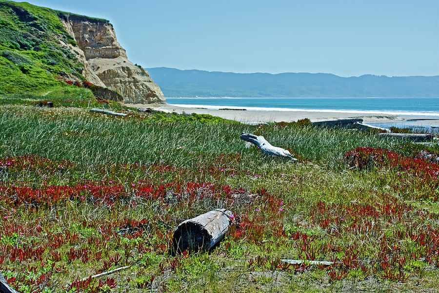 Drakes Beach in Point Reyes National Seashore, California #1 Photograph by Ruth Hager