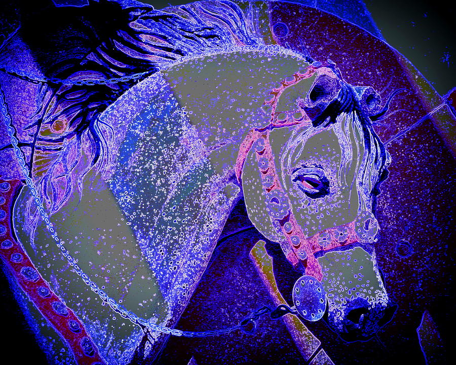 Dream Horse Photograph by Tru Waters