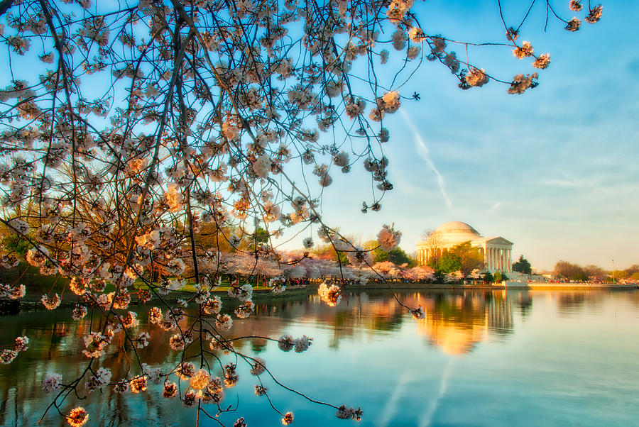 Dreamy Jefferson and Flowers #1 Photograph by Mark Dodd