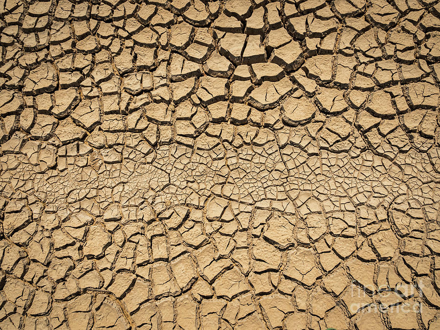 Dried And Cracked Soil In Arid Season. #1 Photograph by Tosporn Preede