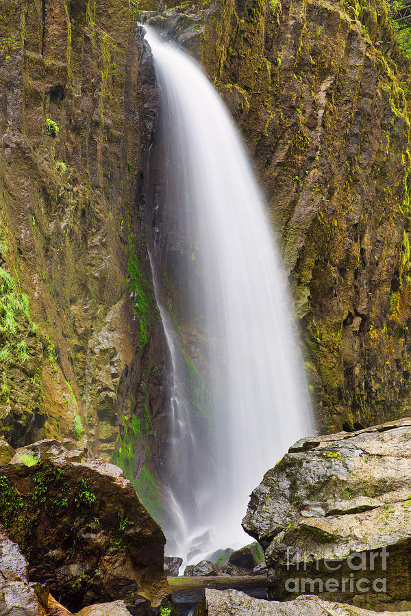 Drift Creek Falls #1 Photograph by Bruce Block