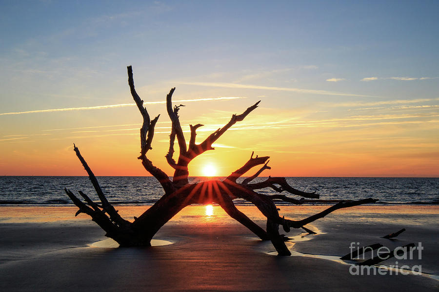 Driftwood Beach Sunrise #1 Photograph by Jennifer Ludlum