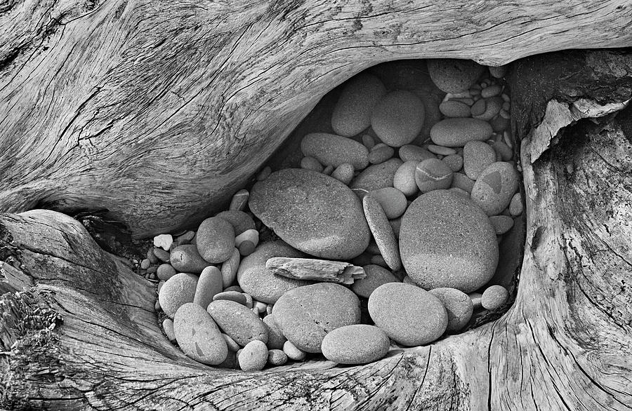 Driftwood Pebble Pocket #1 Photograph by Peter J Sucy