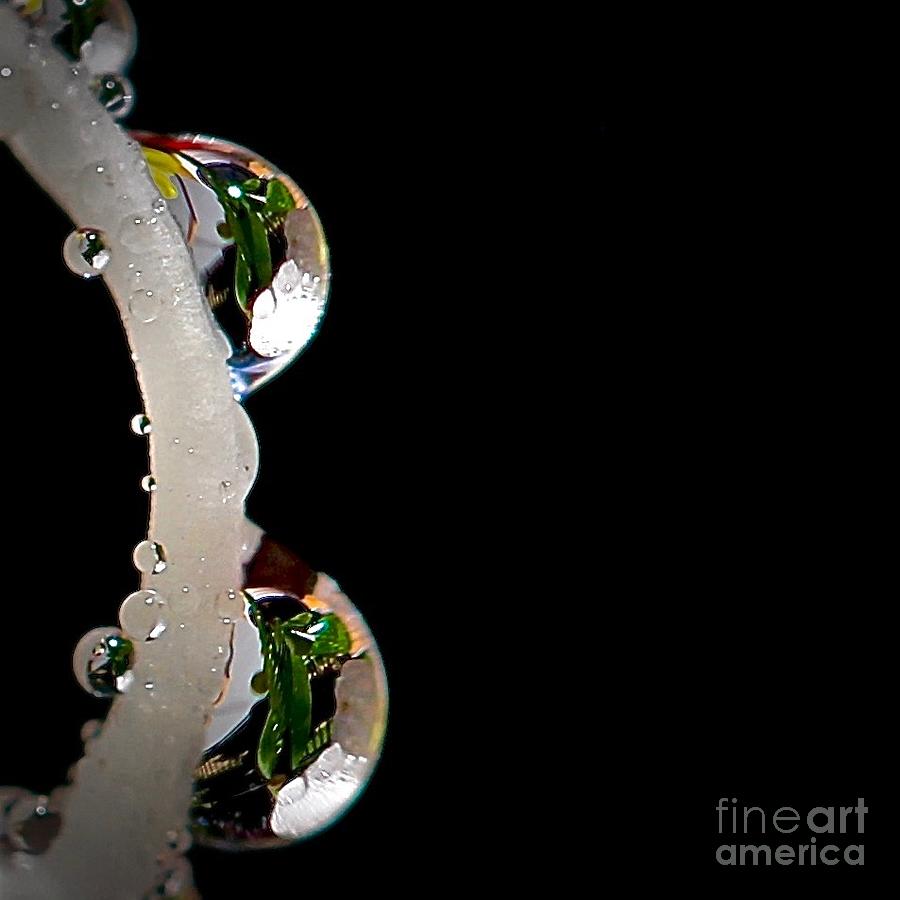 Drops Reflection #3 Photograph by Elisabeth Derichs