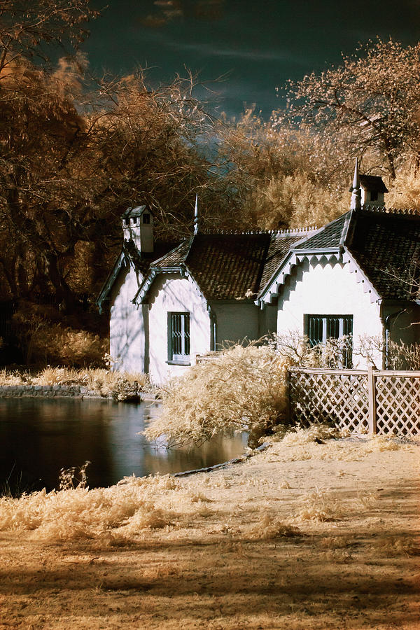 Duck Island Cottage Photograph by Helga Novelli Duck Island Cottage Photograph by Helga Novelli