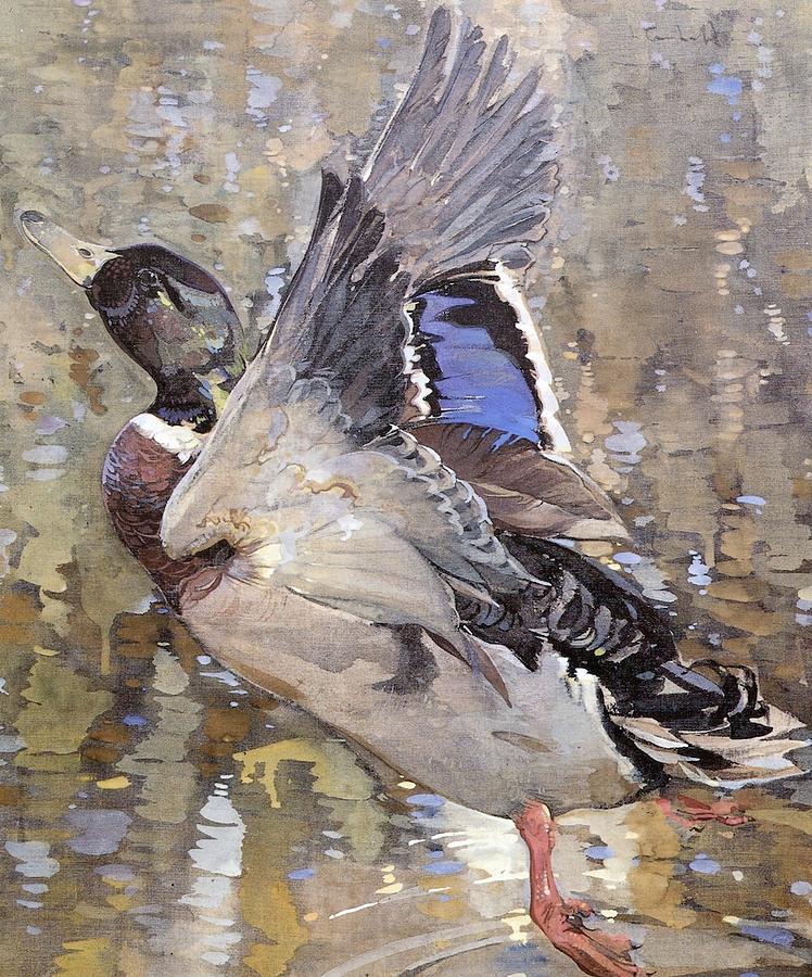 Duck #1 Painting by Joseph Crawhall