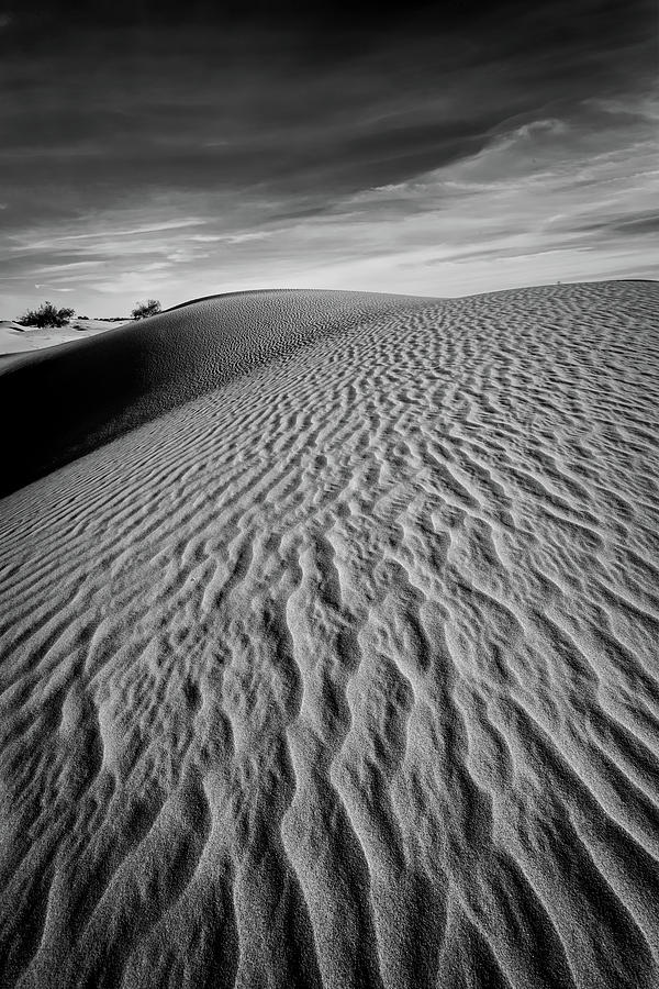 Dune Photograph by Peter Tellone