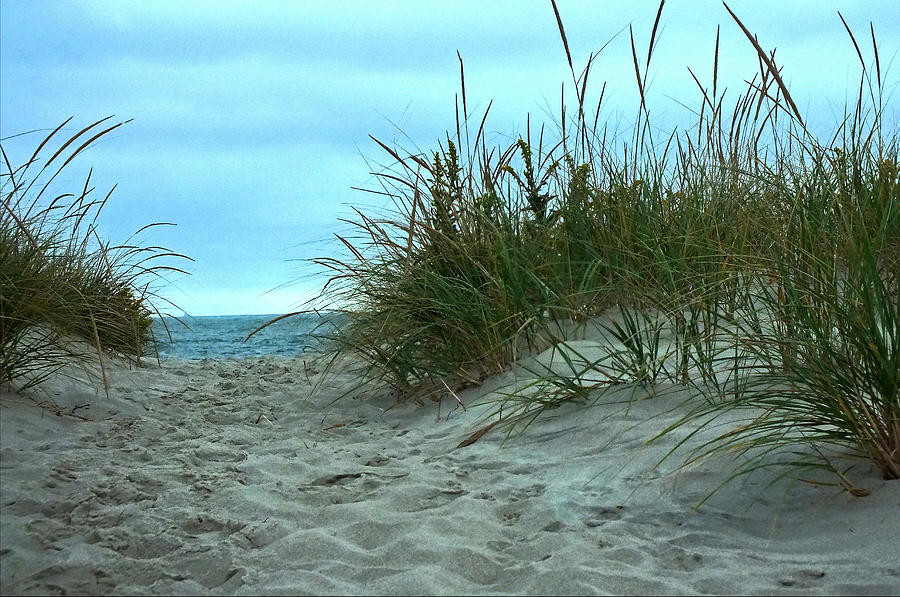 Beach Photograph - Dune  #1 by William Walker