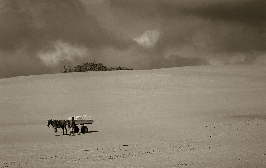 Dunes #1 Photograph by Amarildo Correa