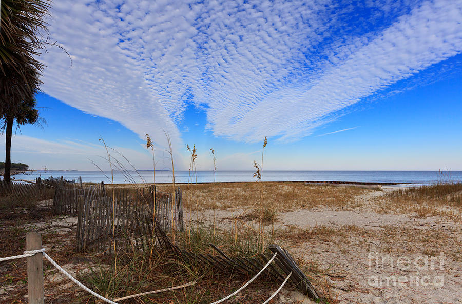Sand Photograph - Dunes and vegetation at Hunting Island State Park #1 by Louise Heusinkveld