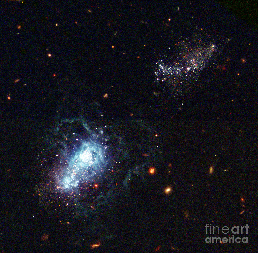 Dwarf Irregular Galaxy, I Zwicky 18 #1 Photograph by Science Source