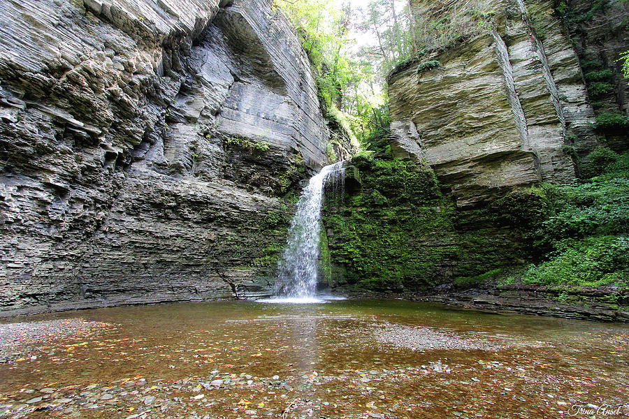 Eagle Cliff Falls in NY Photograph by Trina Ansel