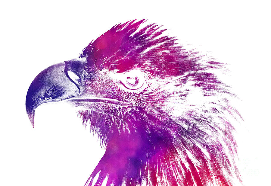 Eagle #1 Digital Art by Justyna Jaszke JBJart
