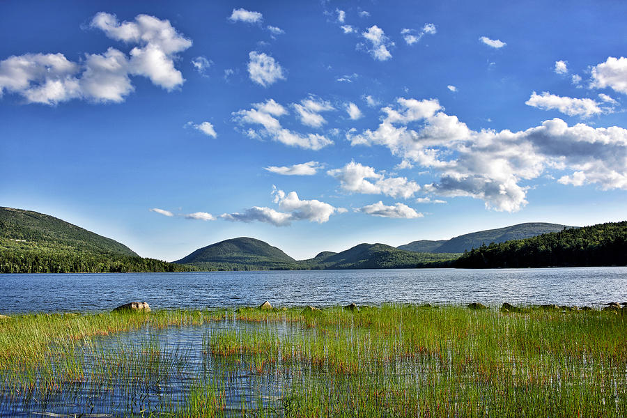 Eagle Lake in Acadia National Park - Maine #1 Photograph by Brendan Reals