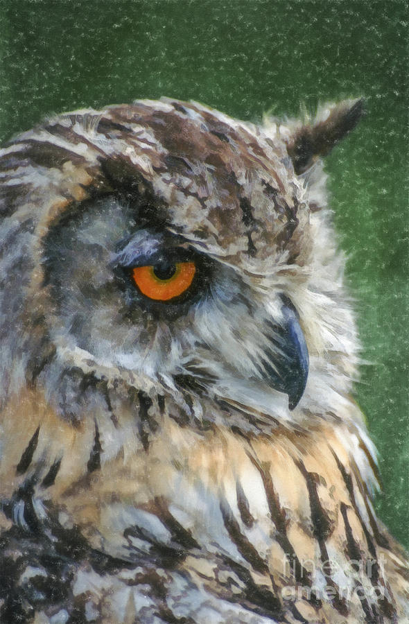 Eagle Owl Bubo bubo #1 Digital Art by Liz Leyden