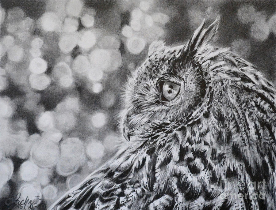 Eagle Owl  #1 Drawing by Lachri
