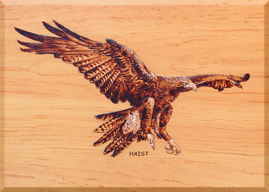 Eagle #1 Pyrography by Ron Haist