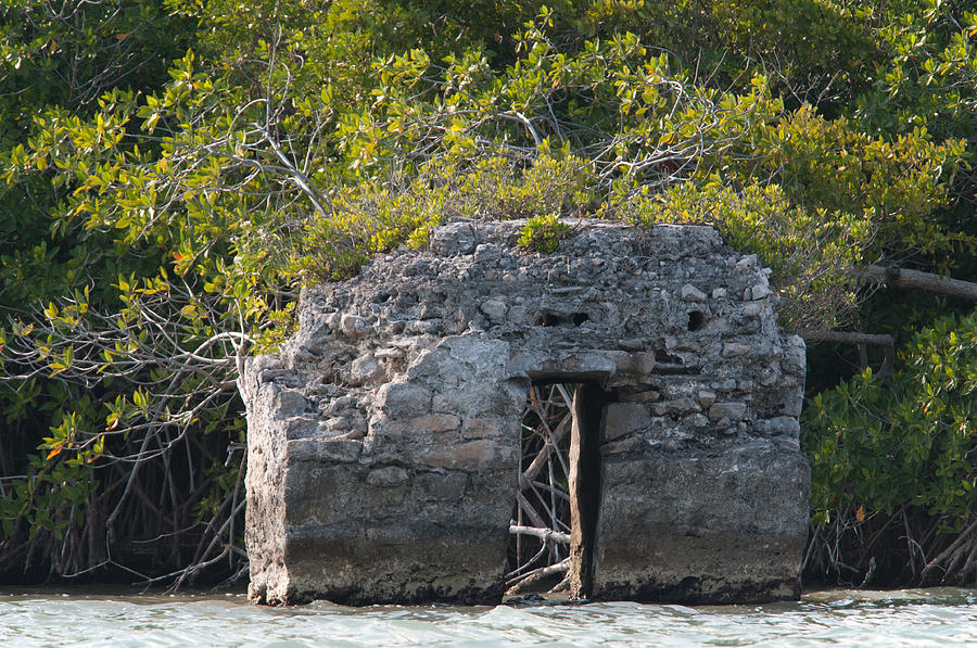 Earliest Mayan Lighthouse at Sian Kaan Biosphere #1 Digital Art by Carol Ailles