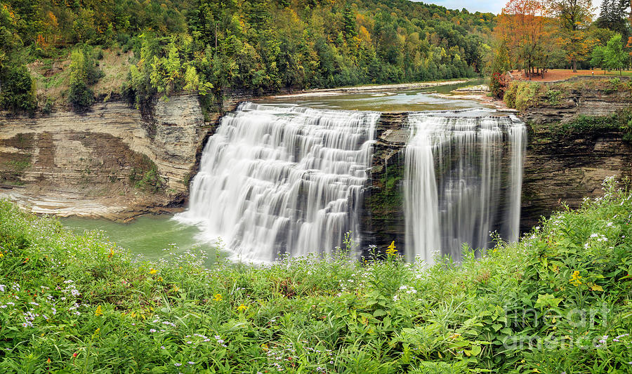 Early Autumn Middle Falls and Wildflowers Photograph by Karen Jorstad