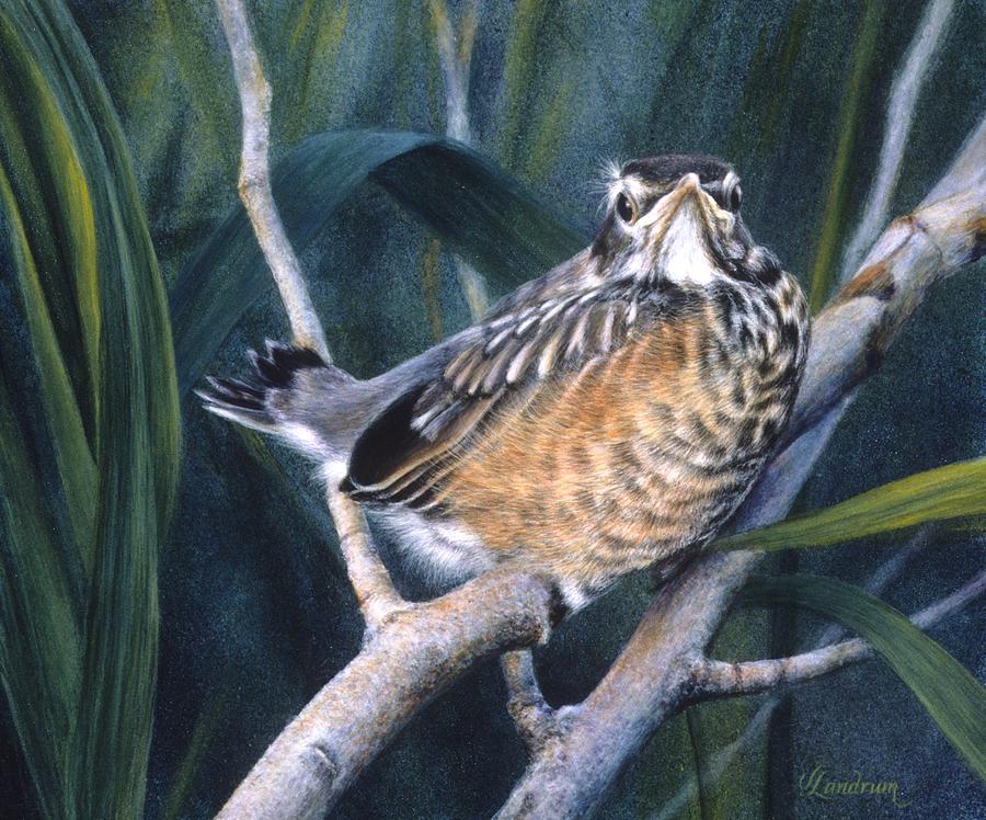 Bird Painting - Early Bird by Janet Landrum Bird Painting - Early Bird by Janet Landrum