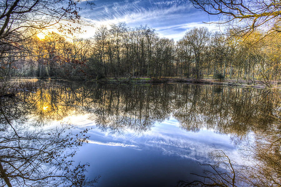 Early Morning Forest Pond #1 Photograph by David Pyatt