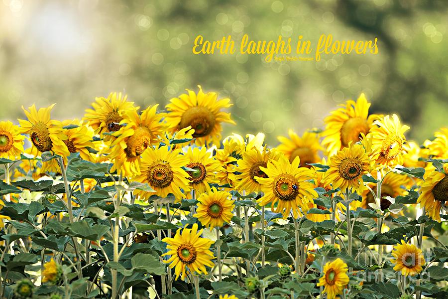 Earth Laughs in Flowers #1 Photograph by Lila Fisher-Wenzel