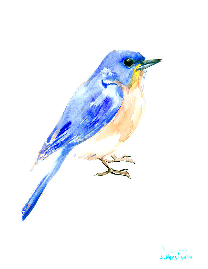Eastern Bluebird #1 Painting by Suren Nersisyan