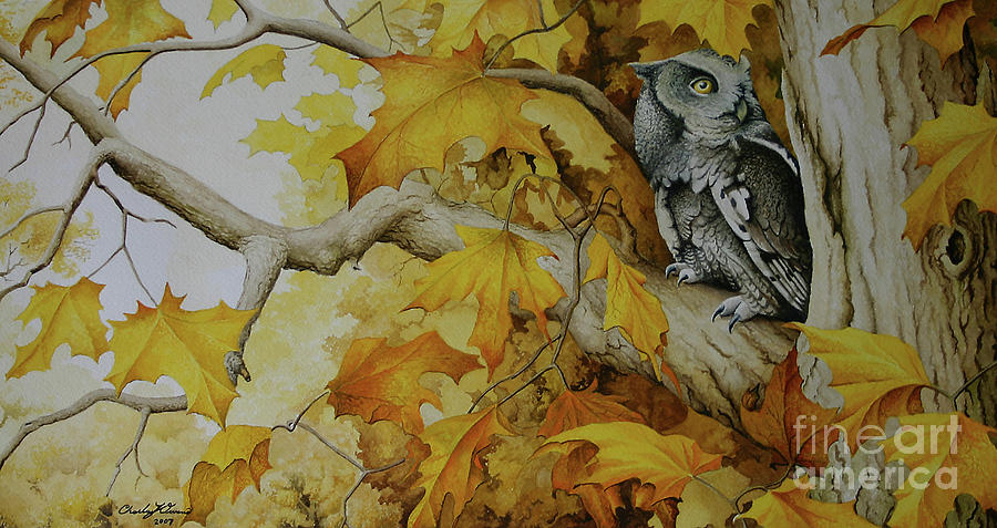 Eastern Screech Owl #2 Painting by Charles Owens