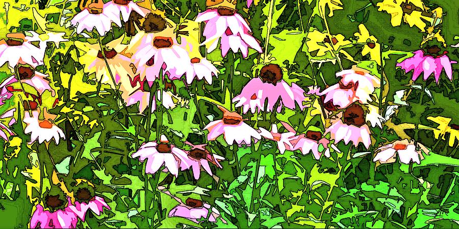 Echinacea Imagined Digital Art