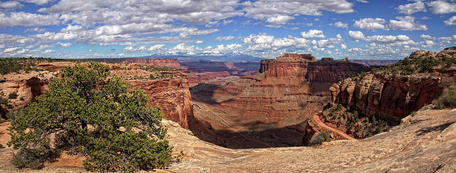 Edge of the Canyon Photograph by Leda Robertson