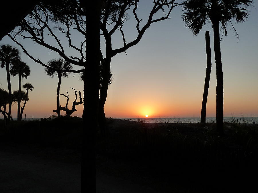 Edisto Island - rising sun #1 Photograph by Joel Deutsch