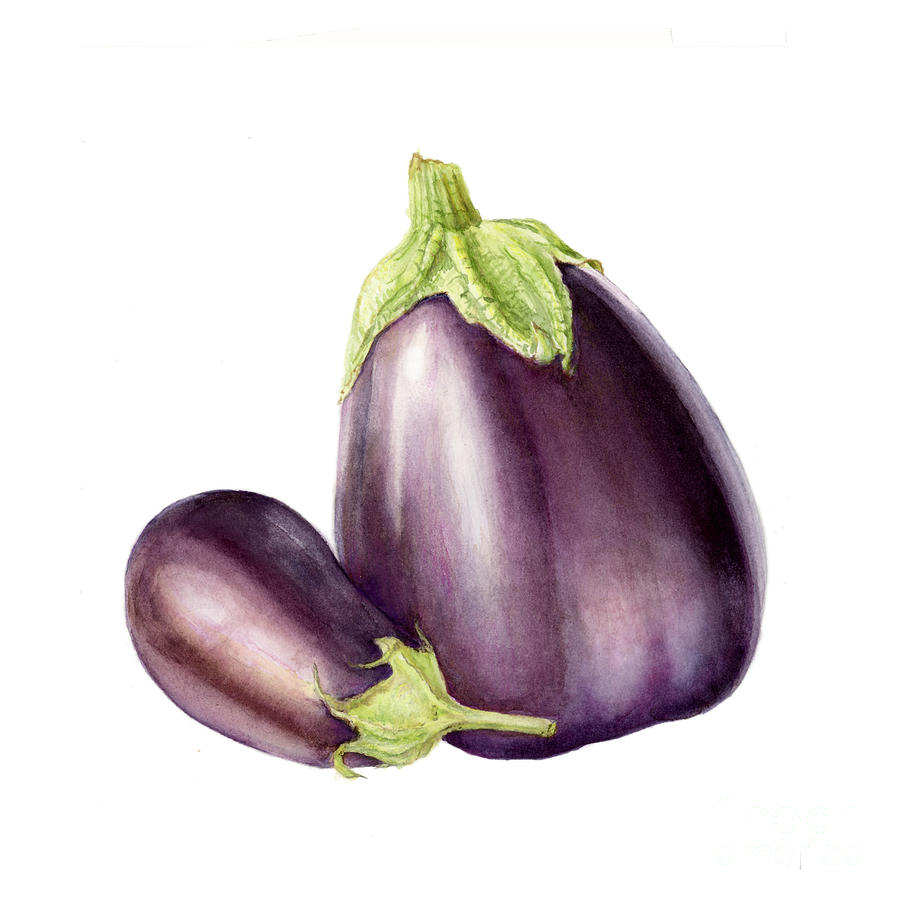 Farmers Market Painting - Eggplants #1 by Fran Henig