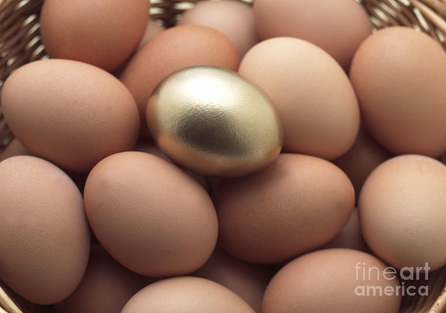 Still Life Photograph - Eggs In Basket With A Golden One #1 by Gerard Lacz