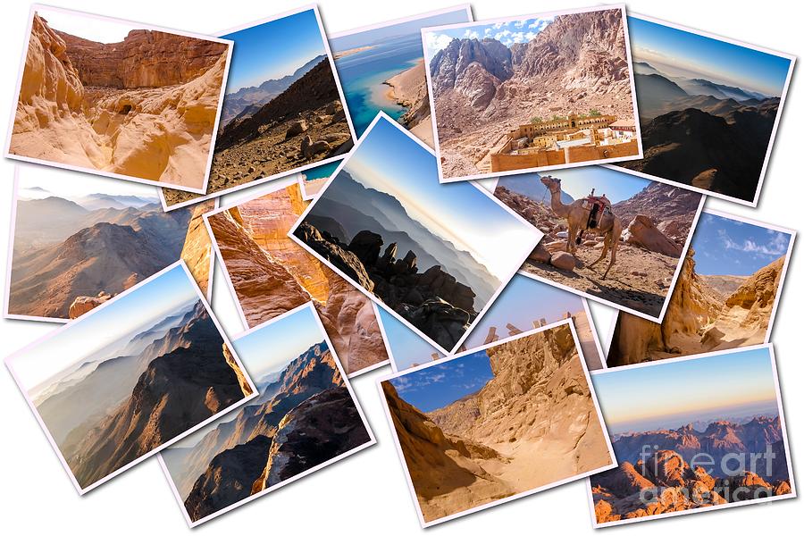 Egypt Sinai Peninsula collage #1 Pyrography by Benny Marty