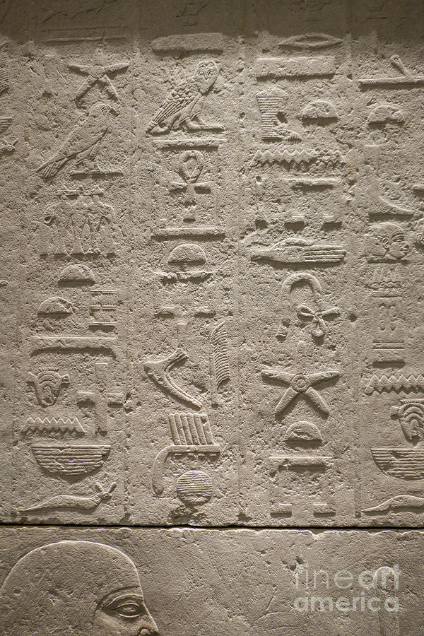 Egyptian hieroglyphs Photograph by Patricia Hofmeester
