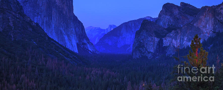 El Capitan blue hour #1 Photograph by Benny Marty