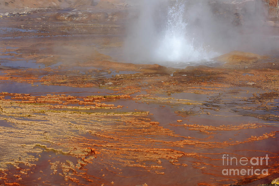 El Tatio Geysers in the Andes Mountains in Antofagasta Chile #1 Photograph by Louise Heusinkveld
