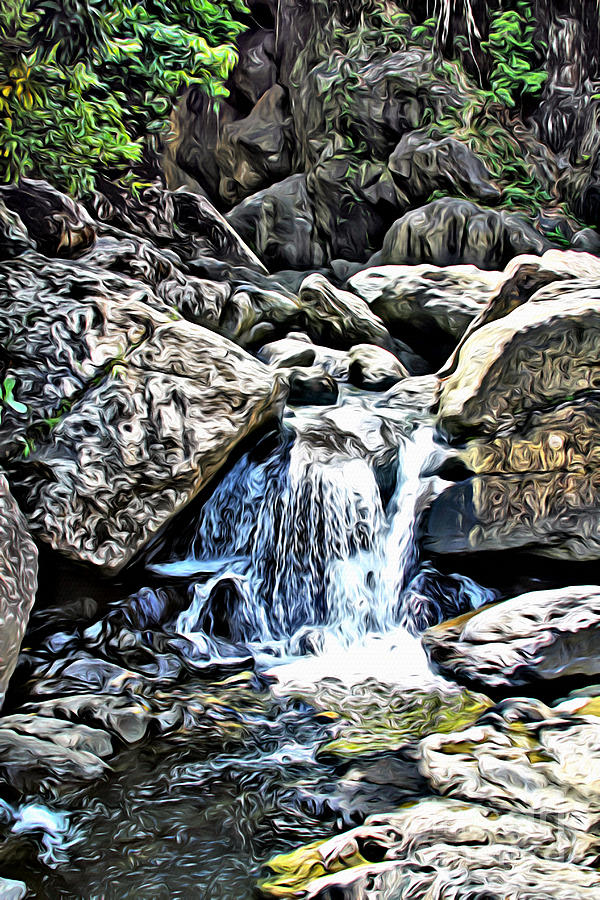 El Yunque stream #2 Photograph by Carey Chen