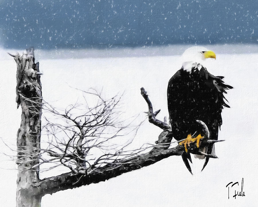 Elegance in the Snow #1 Digital Art by Terry Fiala