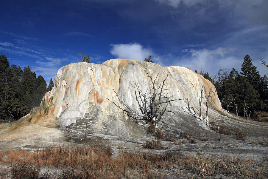 Elephant Springs Yellowstone #1 Photograph by Pierre Leclerc Photography