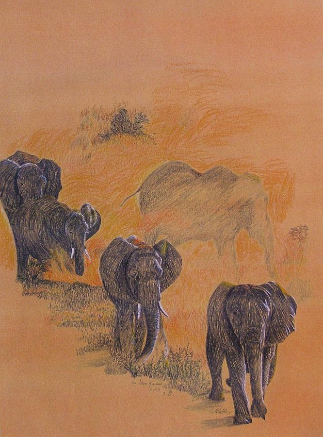 Elephant Drawing - Elephant Walk #1 by Dan Hausel