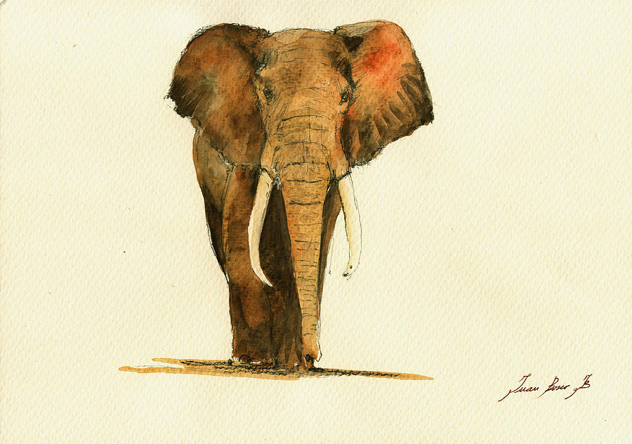 Elephant Painting - Elephant Watercolor #1 by Juan  Bosco