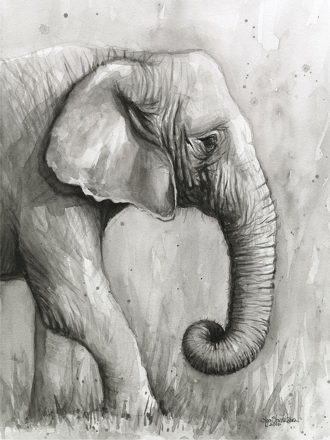 Jungle Painting - Elephant Watercolor #2 by Olga Shvartsur